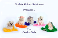 DocMar Golden Girls Litter
